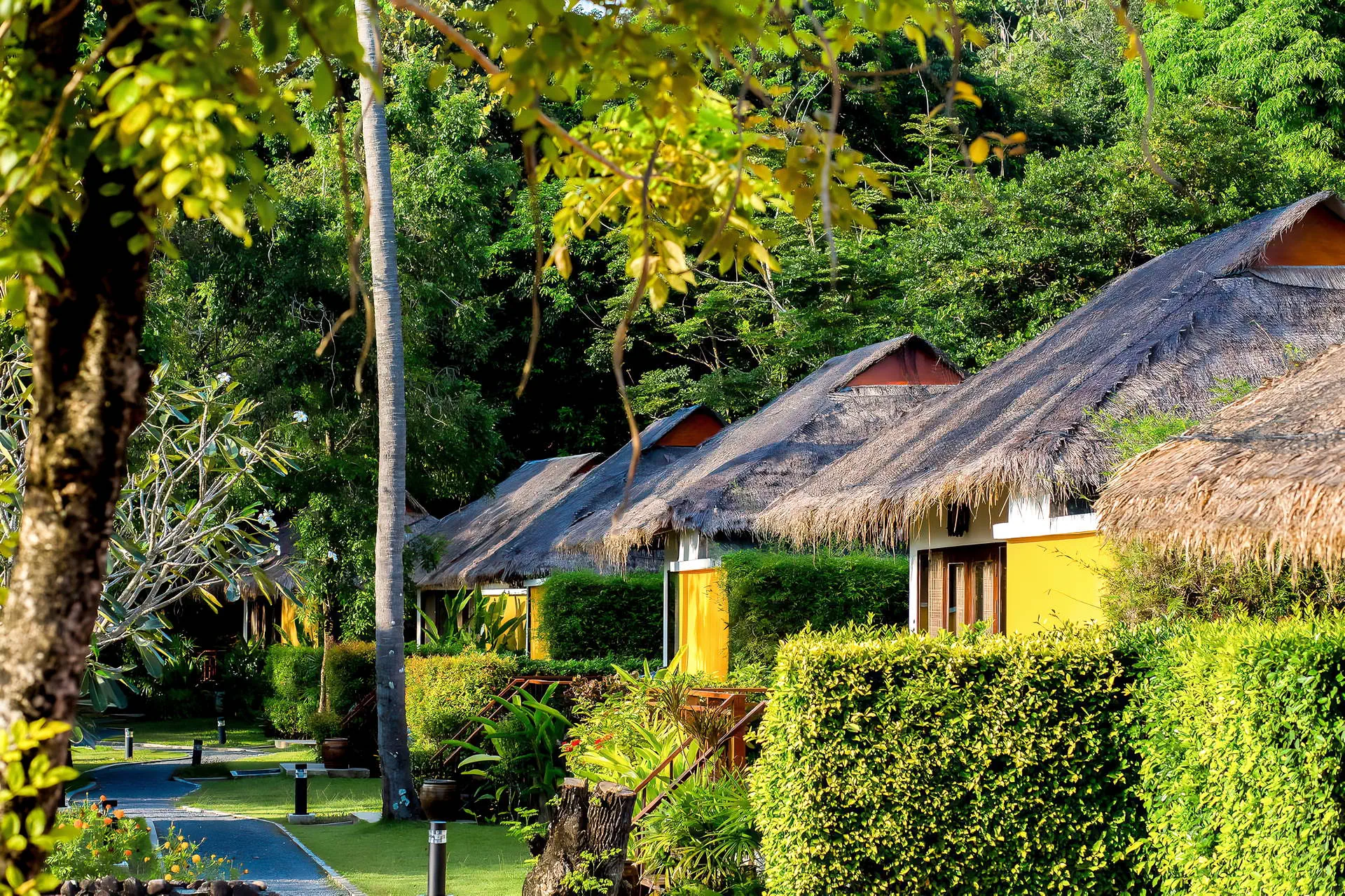 Elixir Koh Yao Yai - zdjęcie 22
