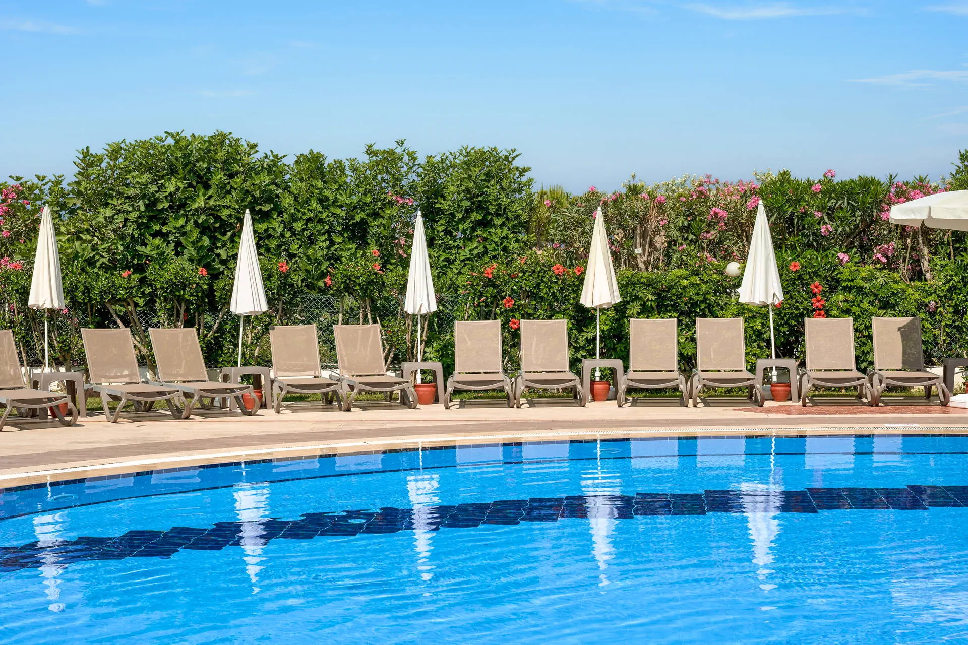 Club Hotel Titan - zdjęcie 5