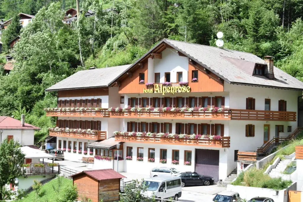 Alpenrose (Alleghe) - zdjęcie 9