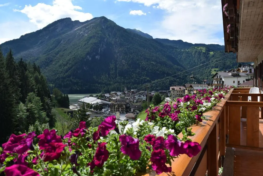 Alpenrose (Alleghe) - zdjęcie 12