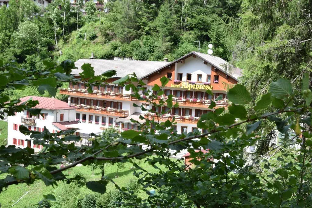 Alpenrose (Alleghe) - zdjęcie 2