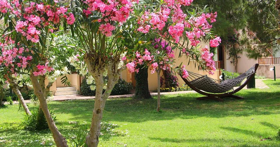 Hotel: Vonresort Golden Beach