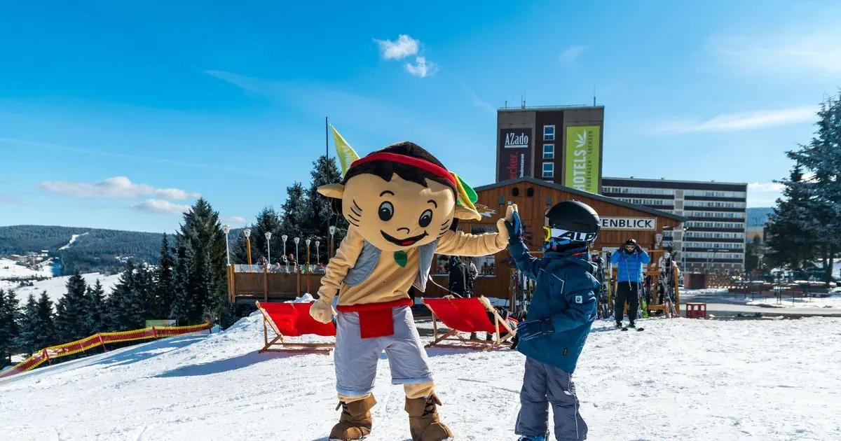 Ahorn Am Fichtelberg