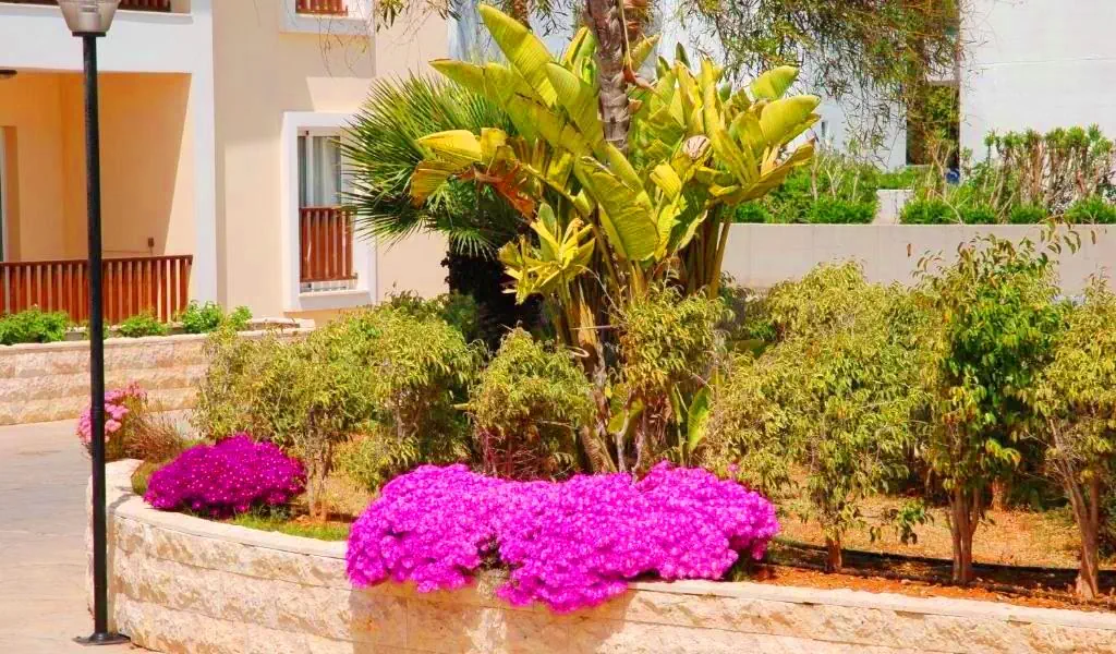 HOTEL: Cypr / Ayia Napa  / Aktea Beach Village (HB,ALL)