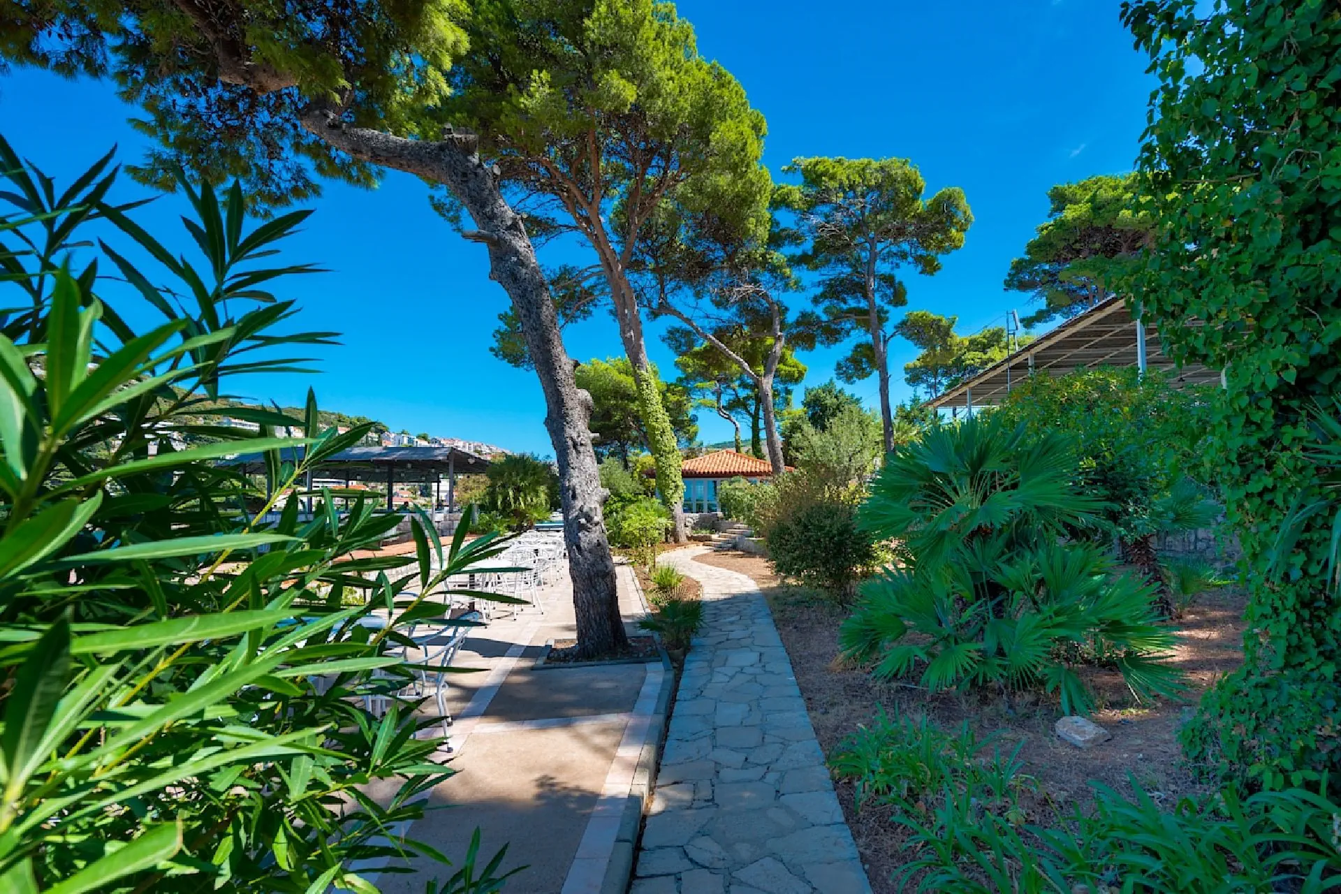 Splendid (Dubrovnik) - zdjęcie 22