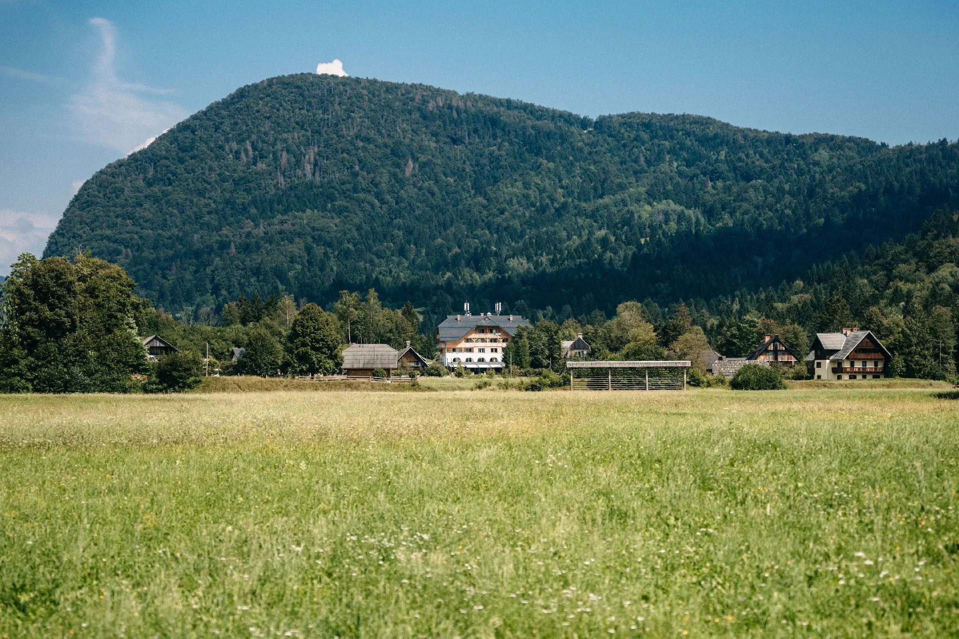 Triglav Apartmaji (ex. Triglav Residence) - zdjęcie 3