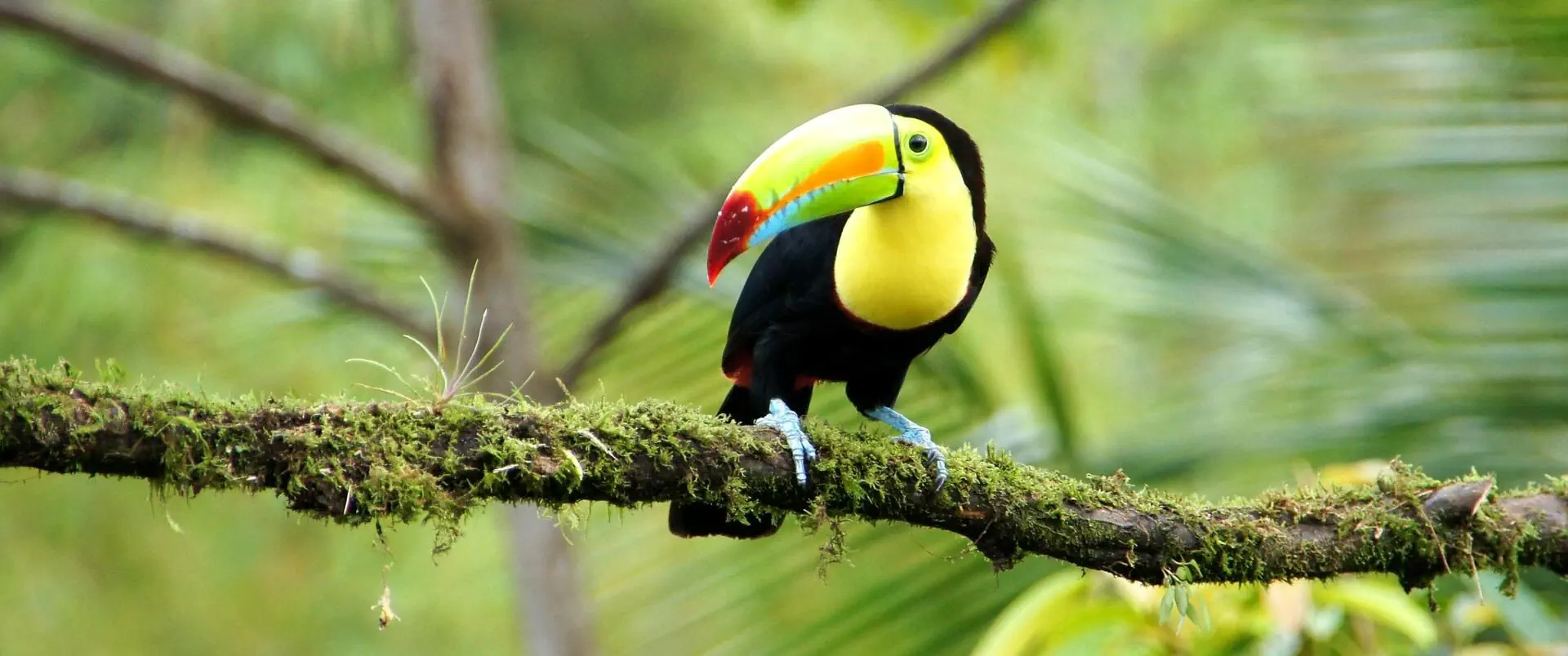 Panama + wyspy Bocas del Toro - Kostaryka - zdjęcie 4