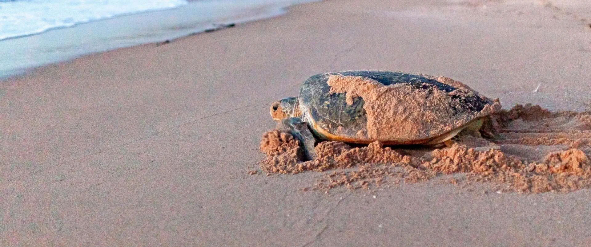 Oman - zdjęcie 10
