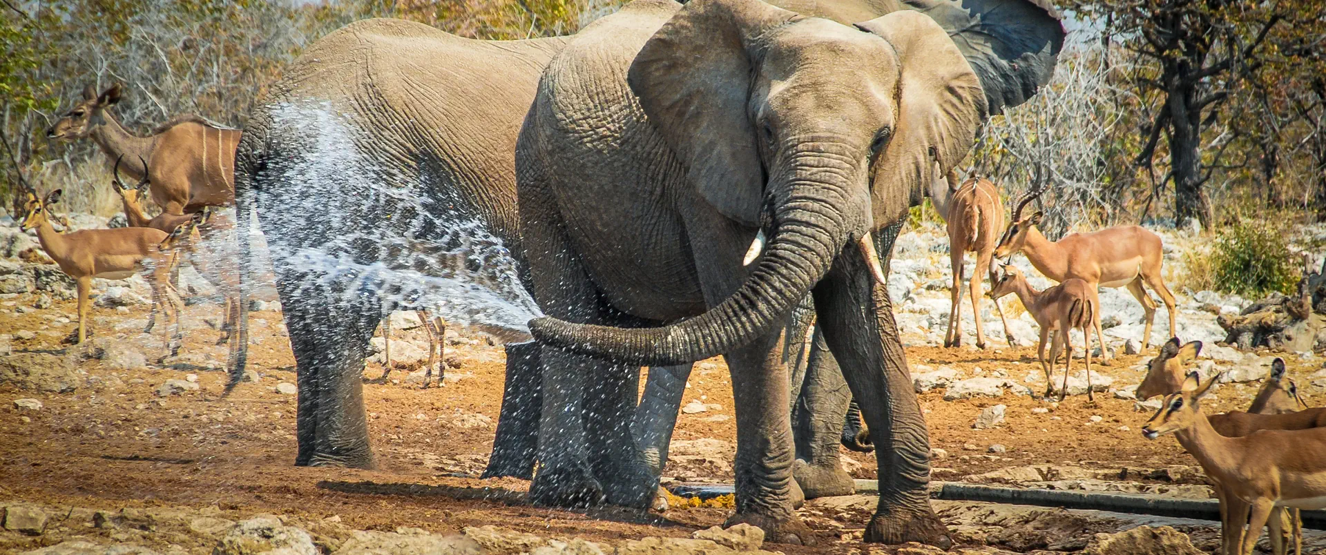 Namibia - Botswana - Zimbabwe - zdjęcie 6