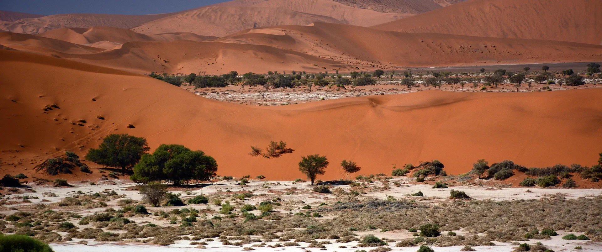 Namibia - Botswana - Zimbabwe - zdjęcie 4