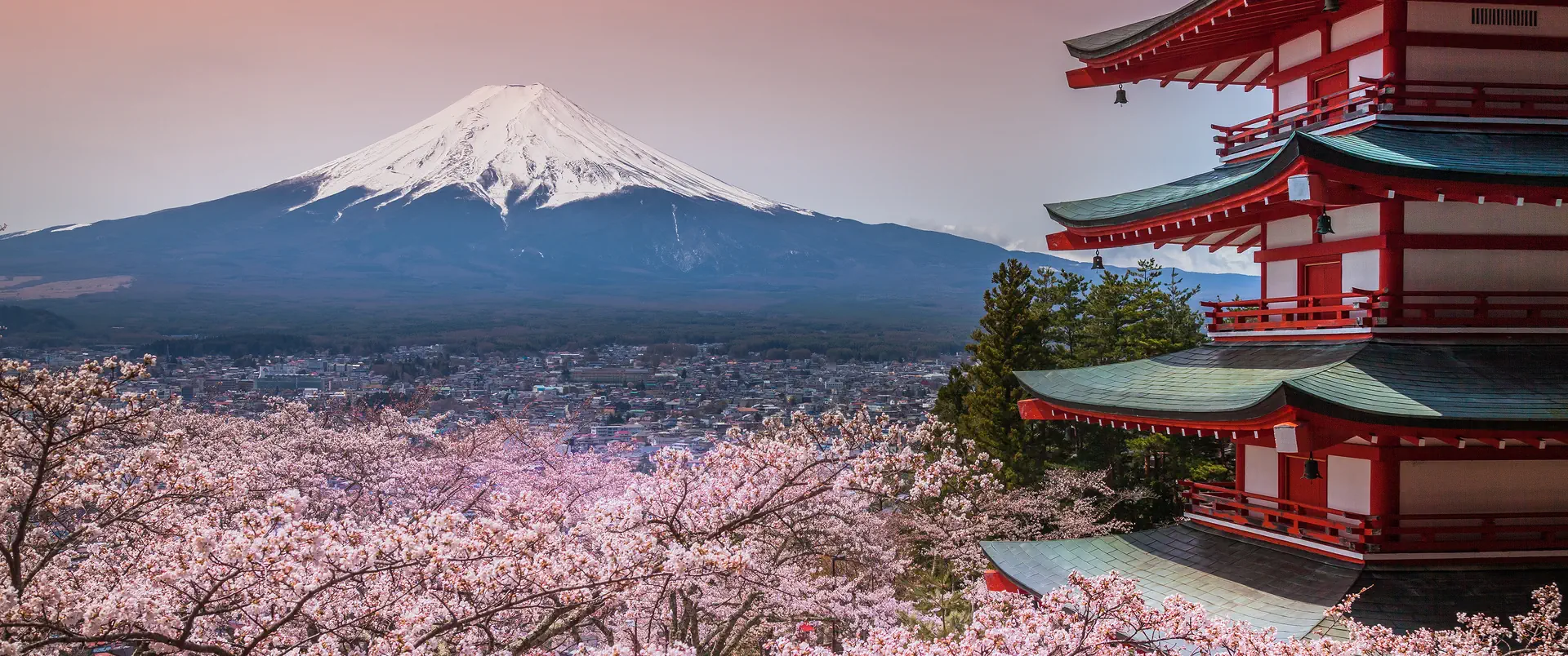 Japonia dla koneserów - zdjęcie 3