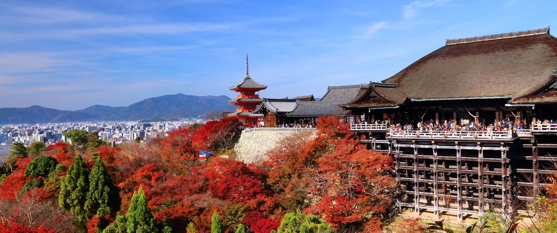 Japonia dla koneserów - zdjęcie 8