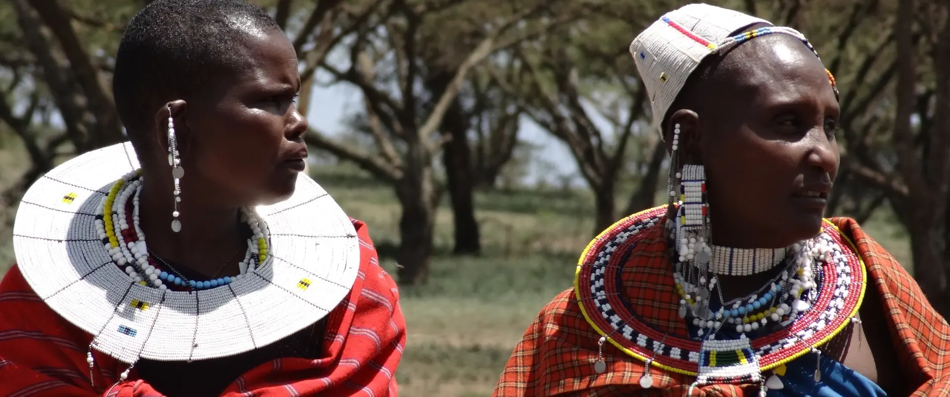 Tanzania - Wielkie Migracje dla koneserów + wyspa Mafia - zdjęcie 4