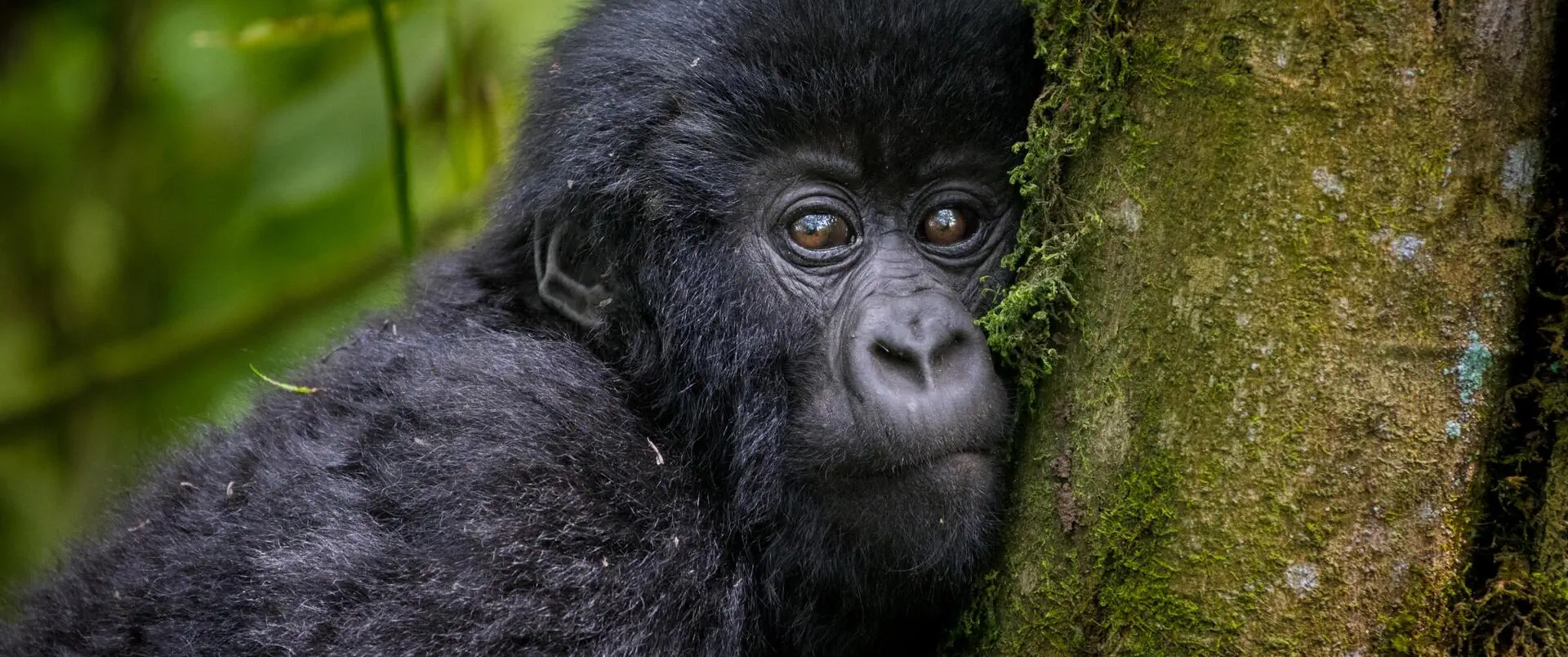 Uganda - zdjęcie 9