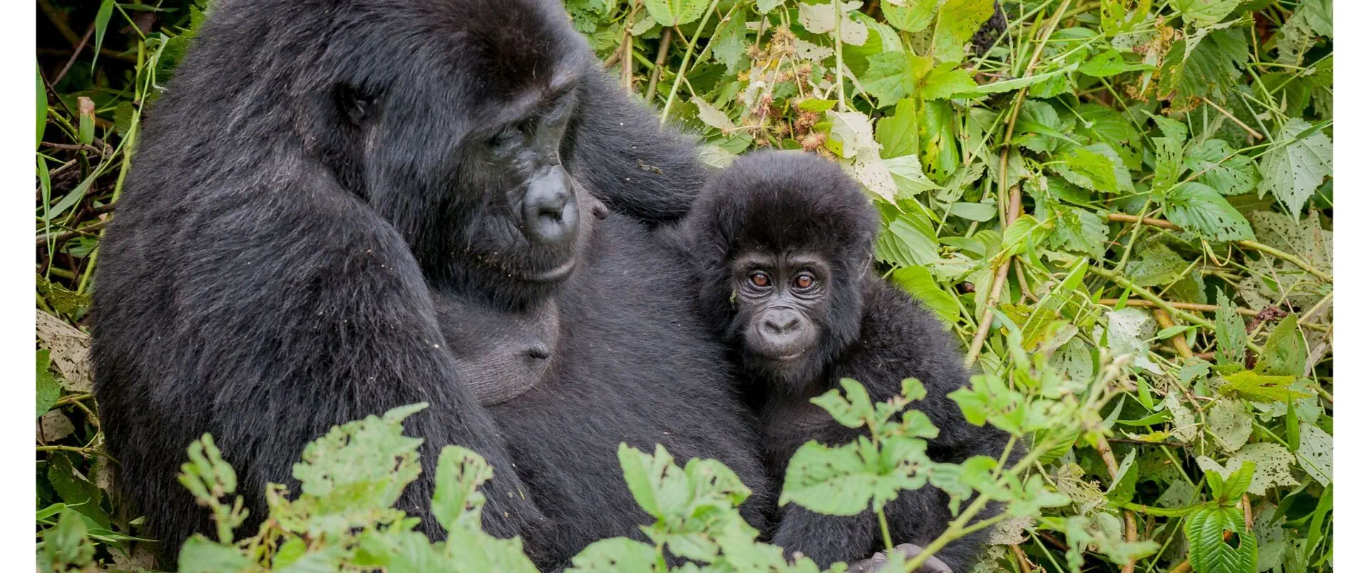 Uganda - zdjęcie 11