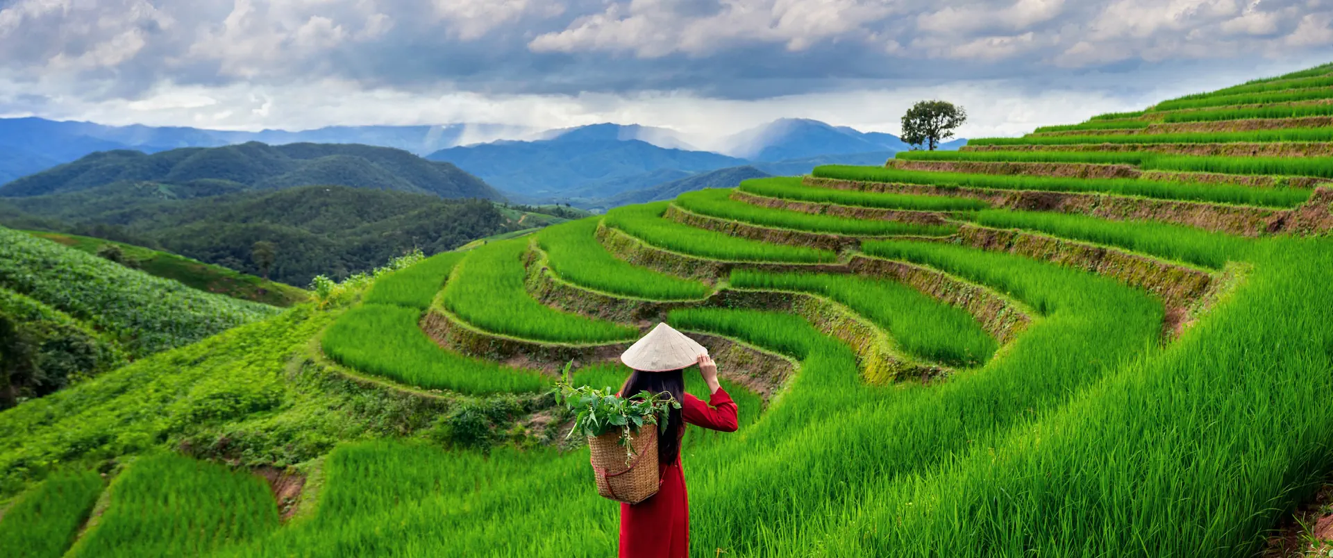 Wietnam - Kambodża - Laos - zdjęcie 10