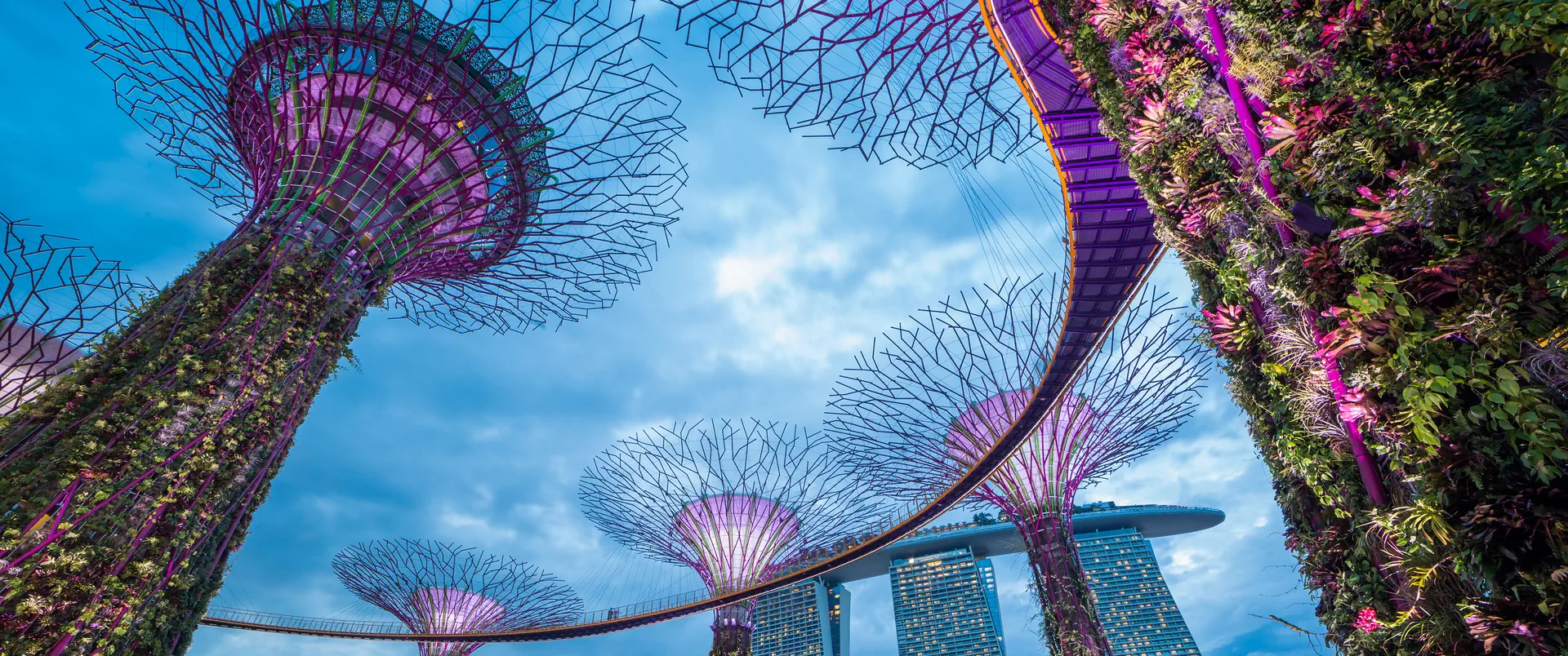 Singapur - Malezja + Park Narodowy Taman Negara - zdjęcie 9