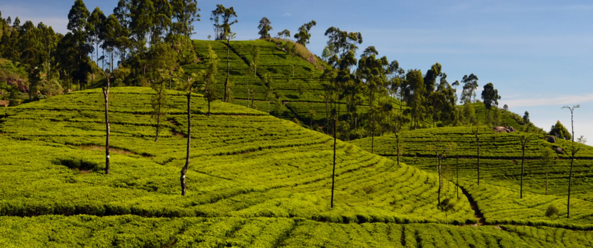 Sri Lanka - Malediwy - zdjęcie 5