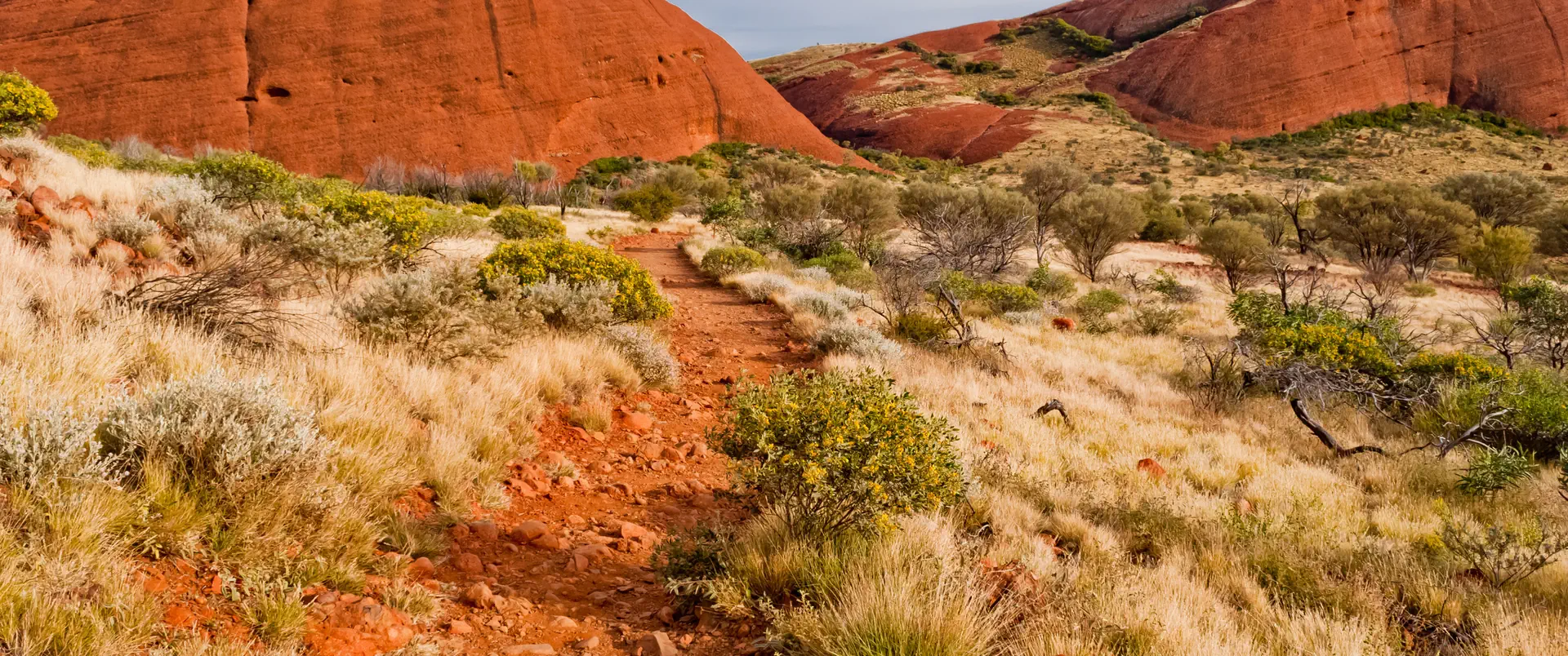 Australia - Nowa Zelandia - zdjęcie 4