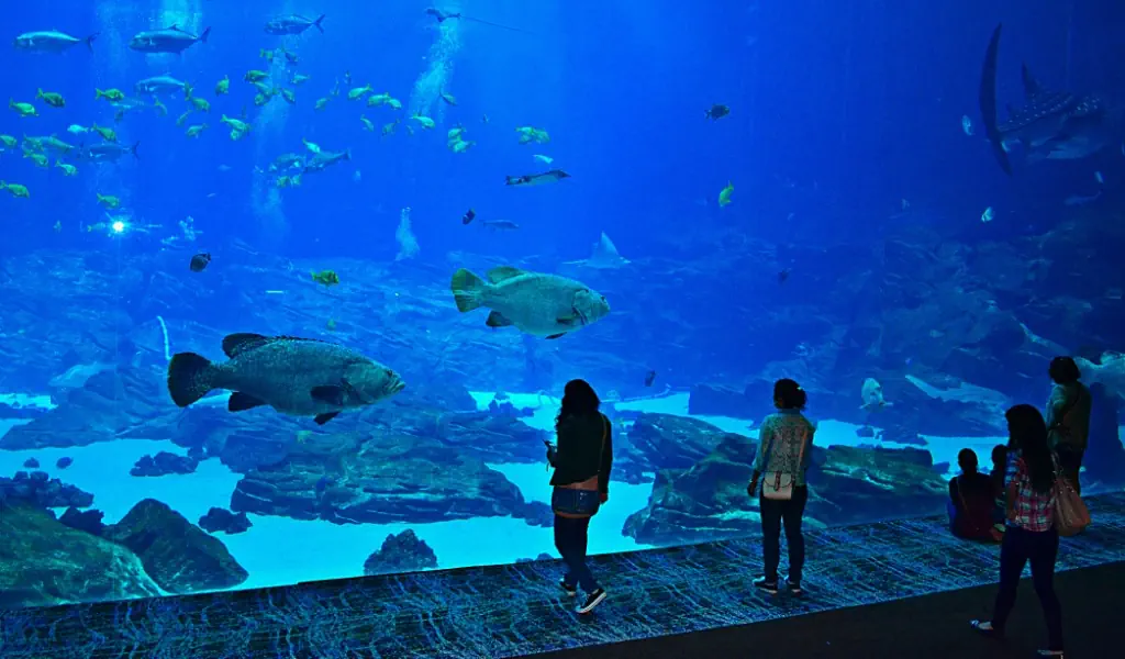ŁÓDŹ - WIZYTA W ZOO I ORIENTARIUM - 1 dzień