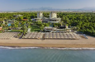Papillon Zeugma Reluxury