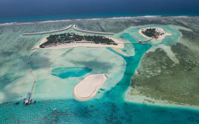 Cinnamon Hakura Huraa (ex Chaaya)