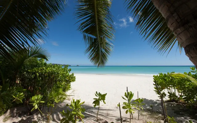 Acajou Beach Resort
