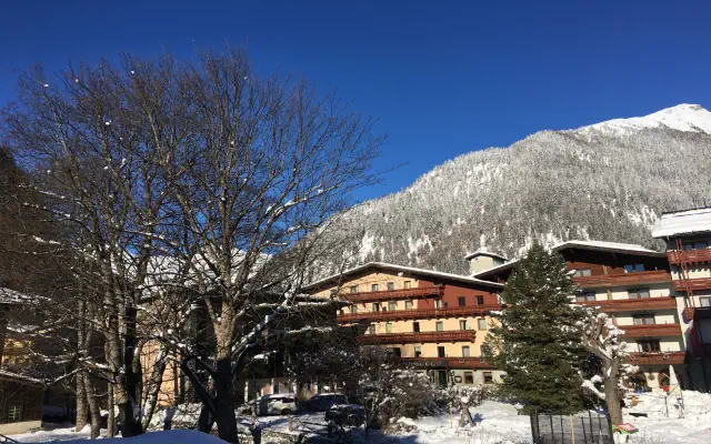 Alber Ferienhotel