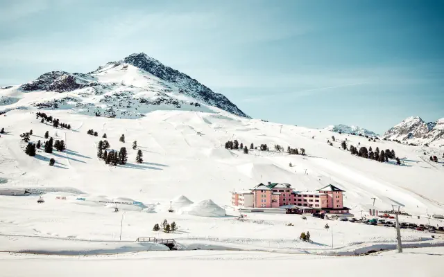 Alpenrose (Kuhtai)