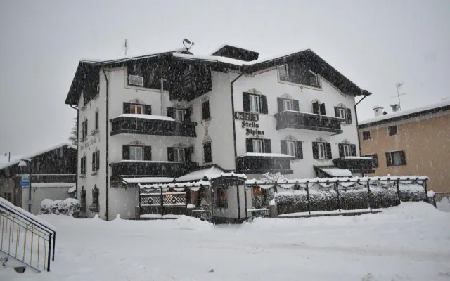 Stella Alpina (Fai Della Paganella)