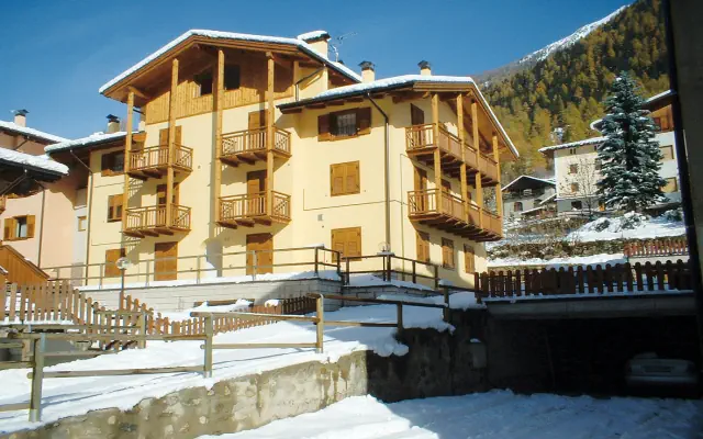 Arnica -Residence