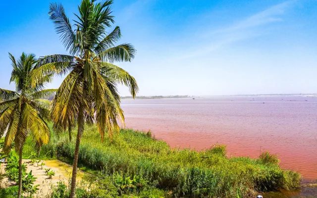 Barwy Senegalu - Od Oceanu Po Sawannę