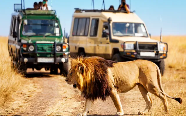 Safari Express + Hotel Prideinn Paradise Beach Resort