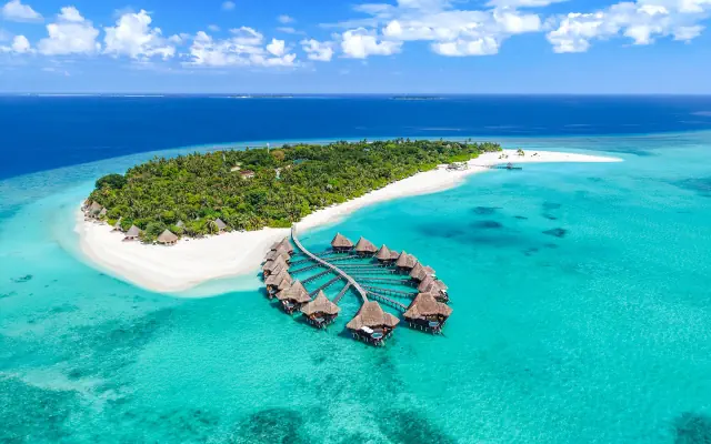 Coco Palm Dhuni Kolhu