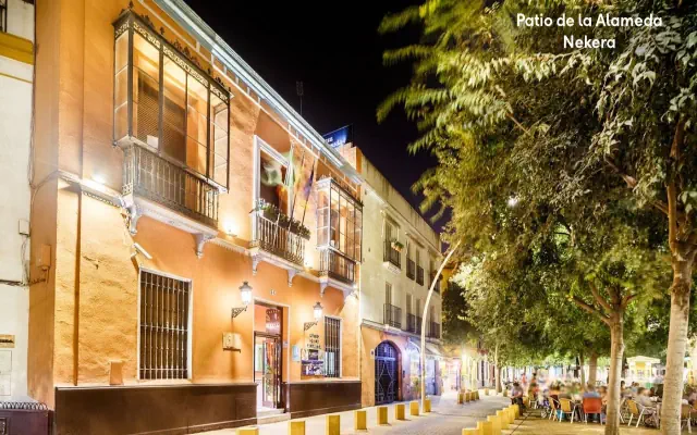 Patio De La Alameda