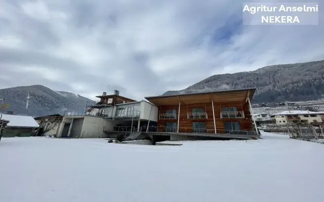 Agritur Anselmi