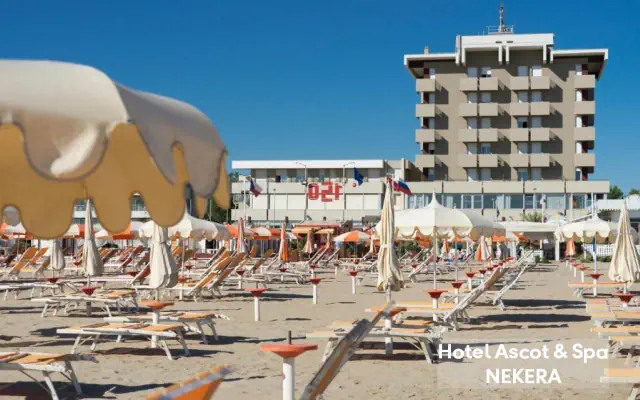 Ascot (Rimini)