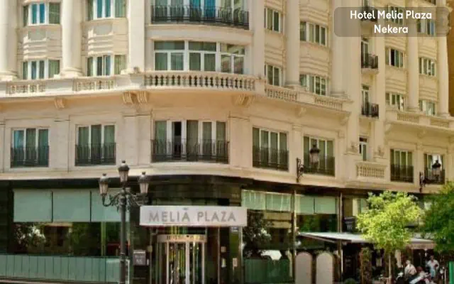 Melia Plaza