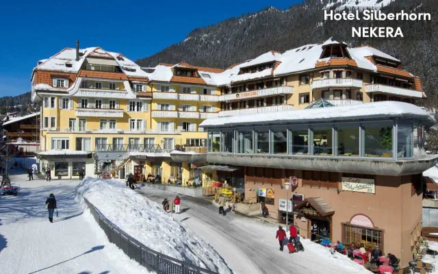 Silberhorn (ex. Best Western Silberhorn)