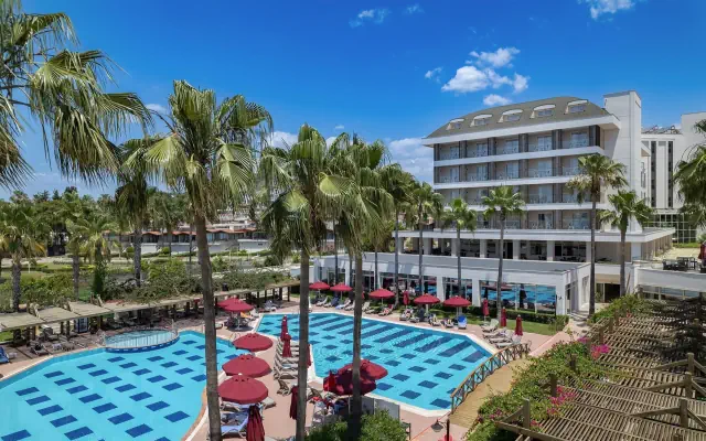 Trendy Palm Beach (Side)