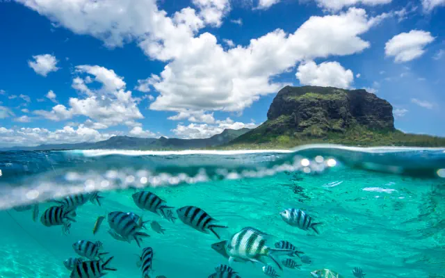 Rajski Mauritius