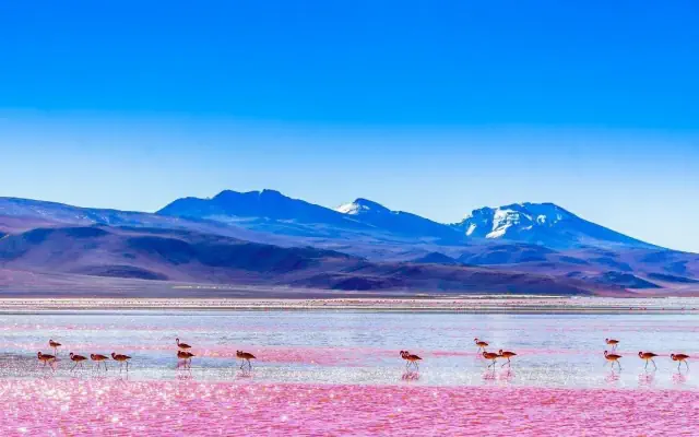 Boliwia z krótkim pobytem w Chile