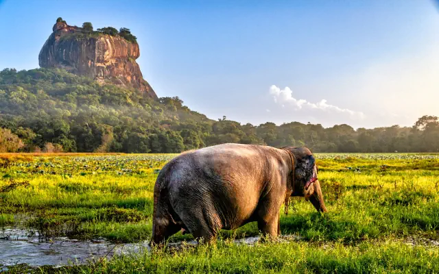 Sri Lanka - Łza z policzka Indii De Luxe