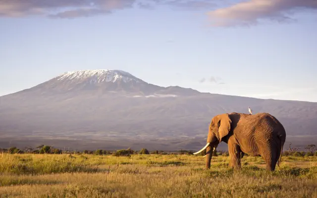 Kenia - Tanzania