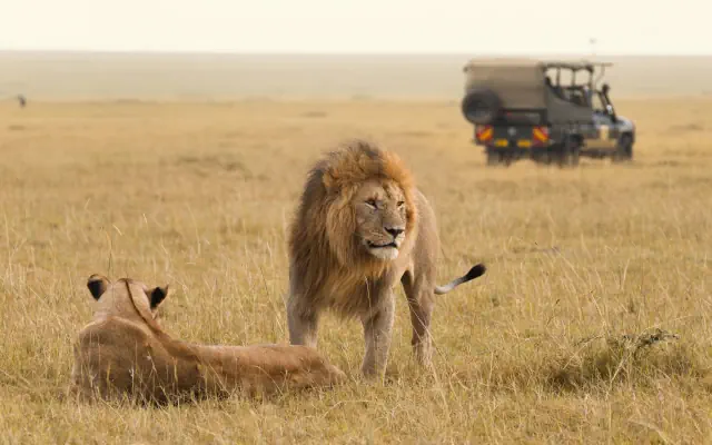Kenia Classic - De Luxe