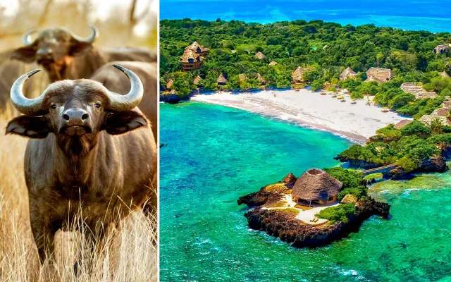 Powitanie z Afryką / The Sands at Chale Island
