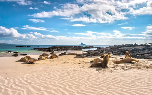 Z Andów na Galapagos