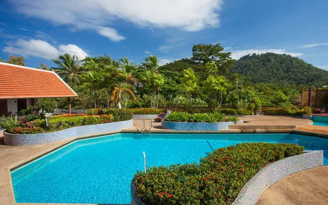 Phuket Merlin