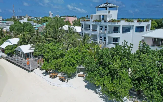 Rashu Hiyaa
