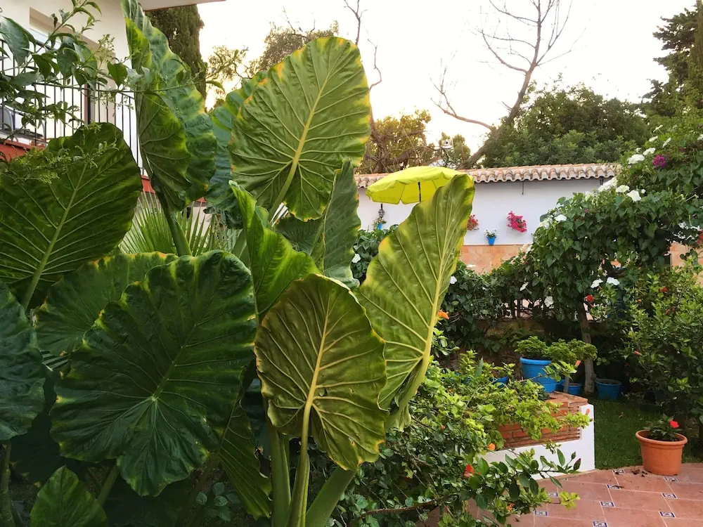 HOTEL: Hotel Carmen Teresa